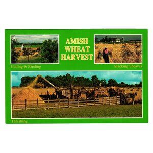 Vintage Amish Wheat Harvest Postcard By John Penrod 1982 P-1115 Indiana Michigan